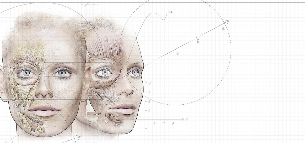 Анатомия, коррекция связок и жировых пакетов