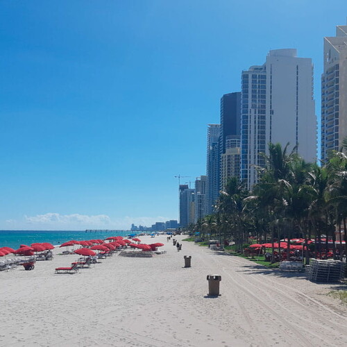 Интенсивный кадавер-курс