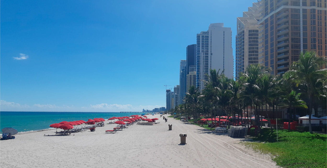 Интенсивный кадавер-курс