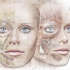 Анатомія, корекція зв'язок та жирових пакетів