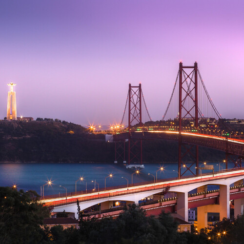 Дисекційний кадавер-курс