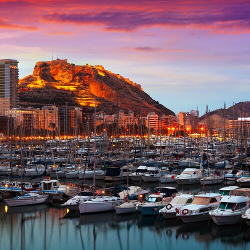 Інтенсивний кадавер-курс