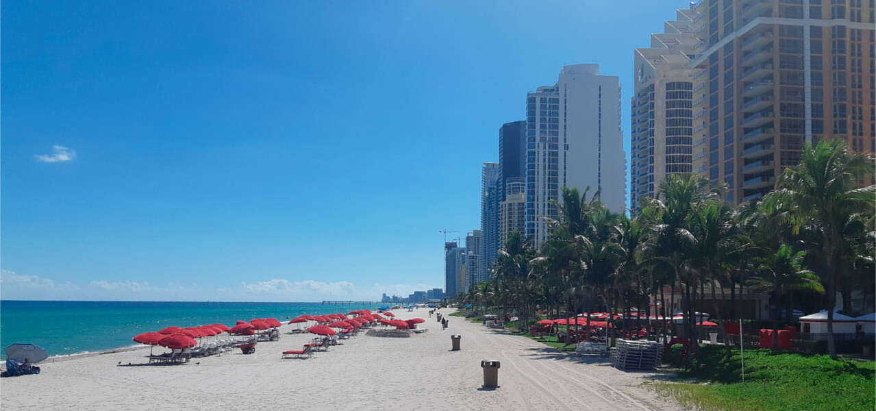 Інтенсивний кадавер-курс